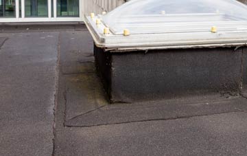 disadvantages of Alness flat roofs