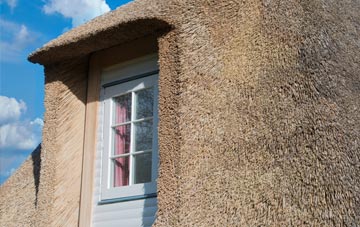 Alness thatch roof disadvantages