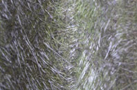 Alness fibreglass roof work